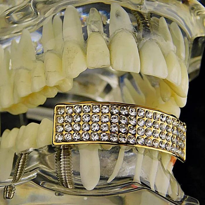 Bling Cartel Admin Earrings 14K Gold Plated Iced Four Row Bottom Teeth Grillz