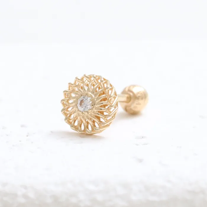 CZ Net Circle Ear Piercing from J Shop Earrings