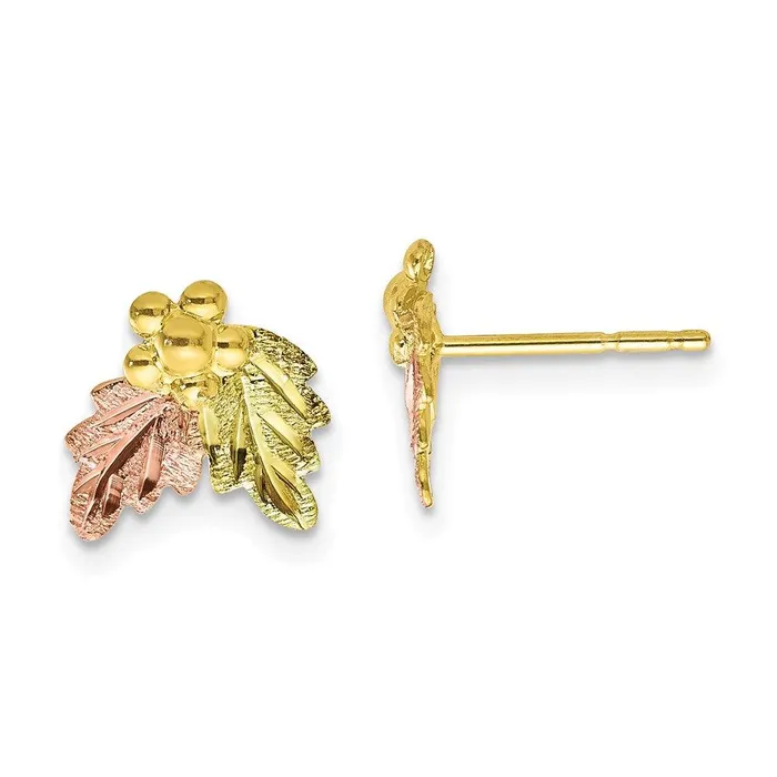 Earrings Jewelry 10k Tricolor Black Hills Gold Post Earrings