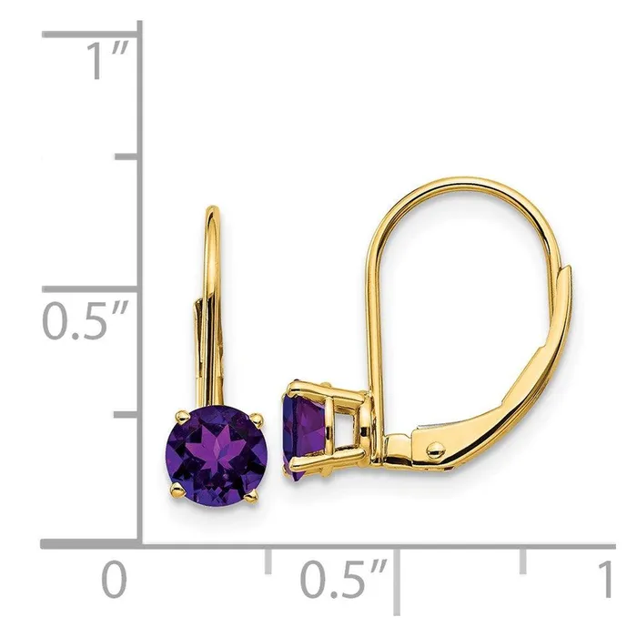 Earrings Jewelry 14k 5mm Amethyst Leverback Earrings Earrings Jewelry 14k 5mm Amethyst Leverback Earrings