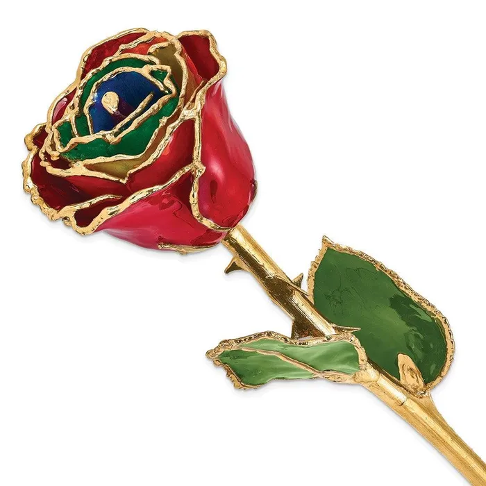 Jewelry Earrings Lacquer Dipped Gold Trim Gypsy Rainbow Rose