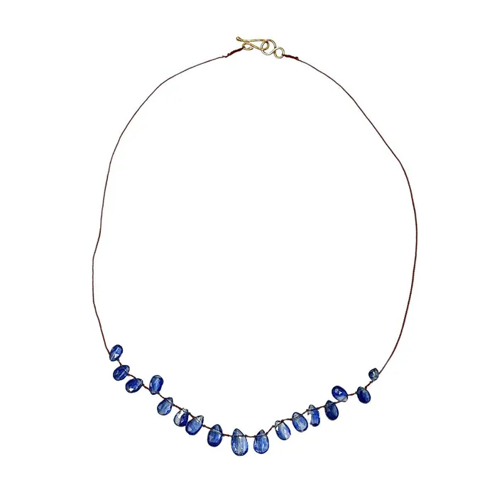 Lena Skadegard Necklaces Lena Skadegard Kyanite Petal Necklace