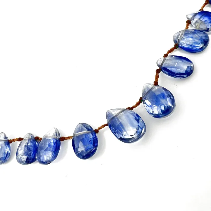 Lena Skadegard Necklaces Lena Skadegard Kyanite Petal Necklace