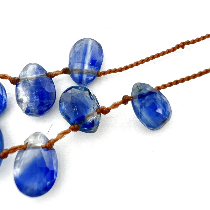 Lena Skadegard Necklaces Lena Skadegard Kyanite Petal Necklace
