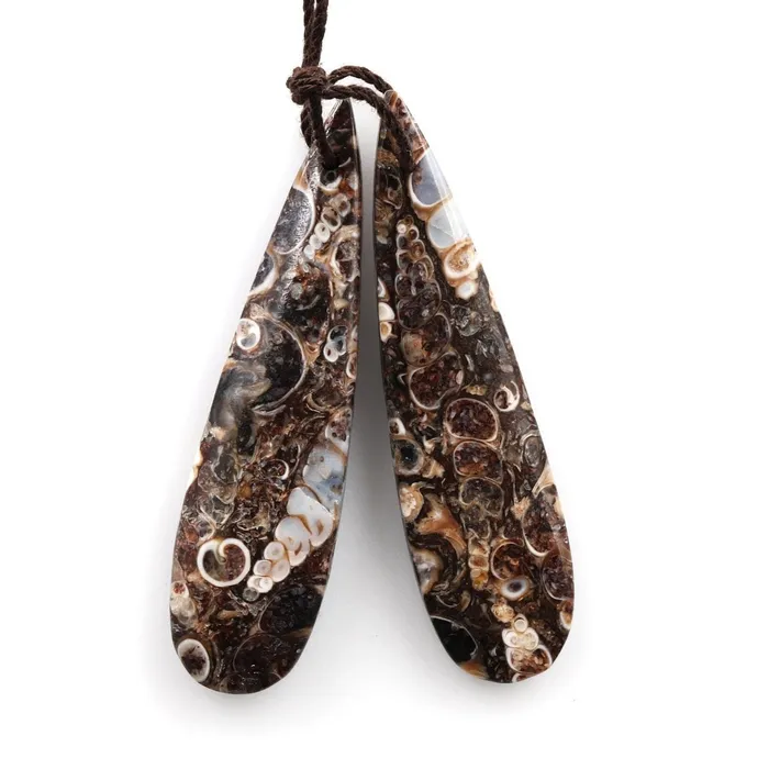Intrinsic Trading Earrings Natural Turritella Fossil Earring Pair From Wyoming Cabochon Cab Pair Drilled Long Teardrop Matched Earring Bead Pair Natural Gemstone Pair