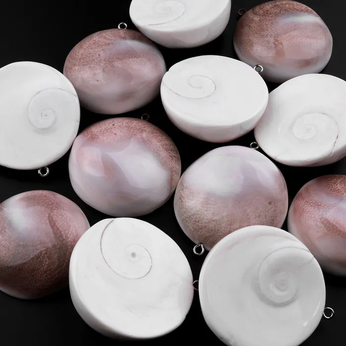 Necklaces Drilled Shiva Eye Shell Circle Round Pendant Natural Fossil Domed Mauve Pink Green Shell Pendant Focal Bead Intrinsic Trading